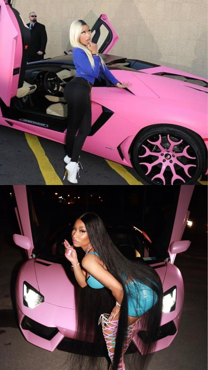 Nicki Ferrari sister rough