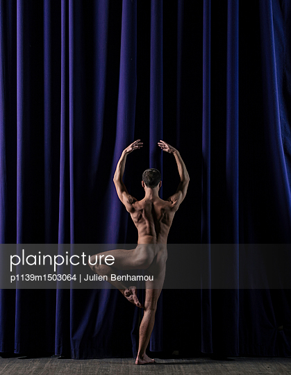 brittany paige recommends male ballet naked pic