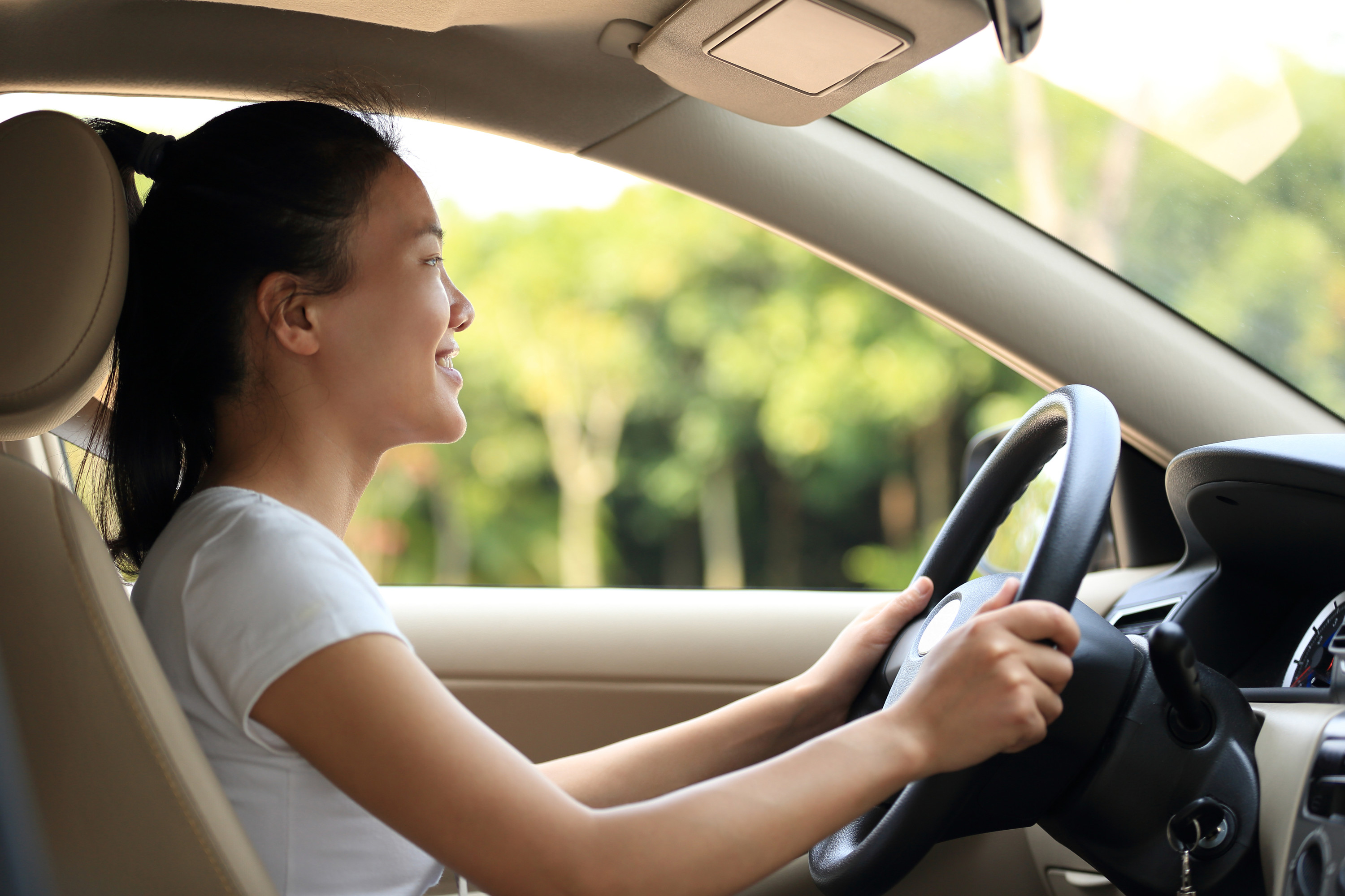 david brewster recommends Head In The Car