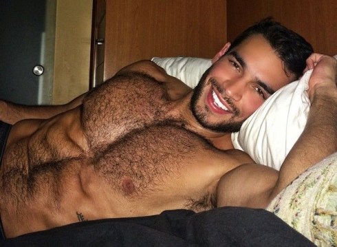 Best of Hairy gay breeding