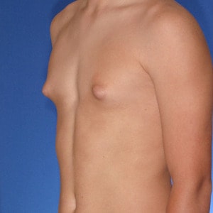 huge puffy breasts karissa shan huge puffy breasts