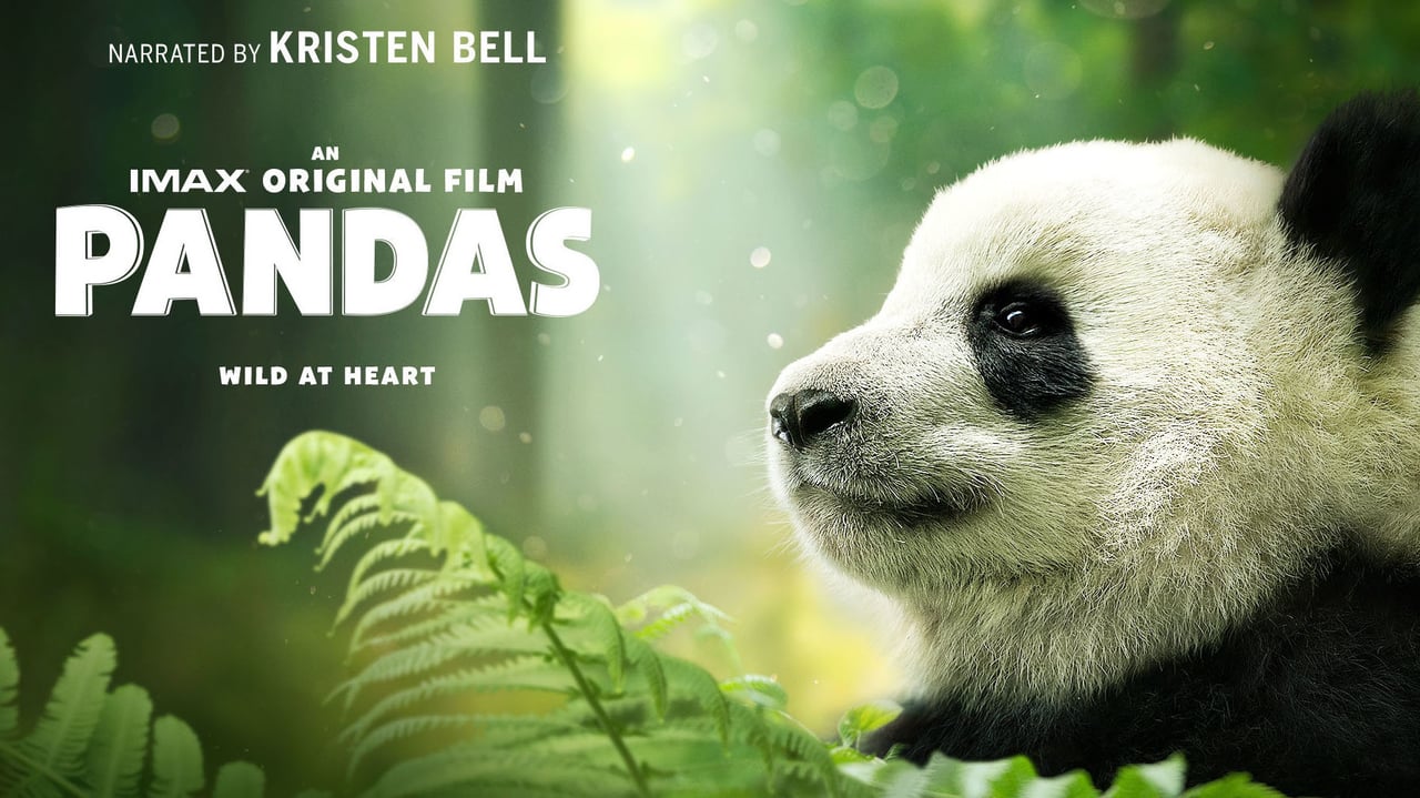 Best of Pandamovies com
