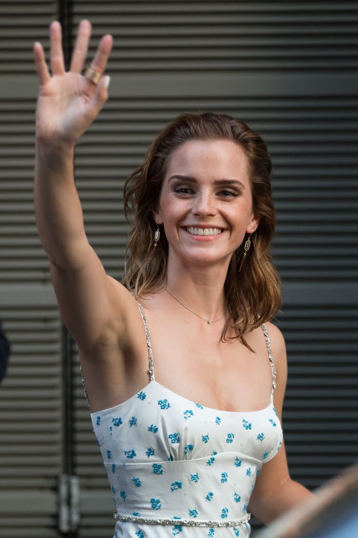 denjie amedo like hairy emma watson photo aleem shafique recommends hairy emma watson pic