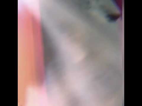 my very first time videos - grooby archives shemale mobile porn