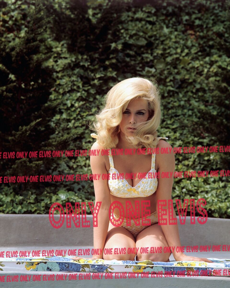 Stella Stevens Lingerie plug ass dania maya recommends Stella Stevens Lingerie