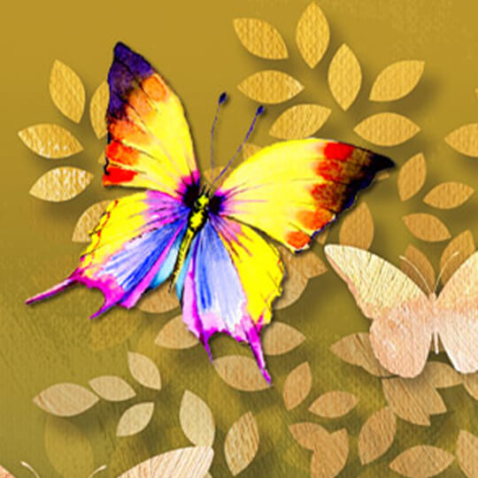 anton marsh recommends Butterfly Handjob