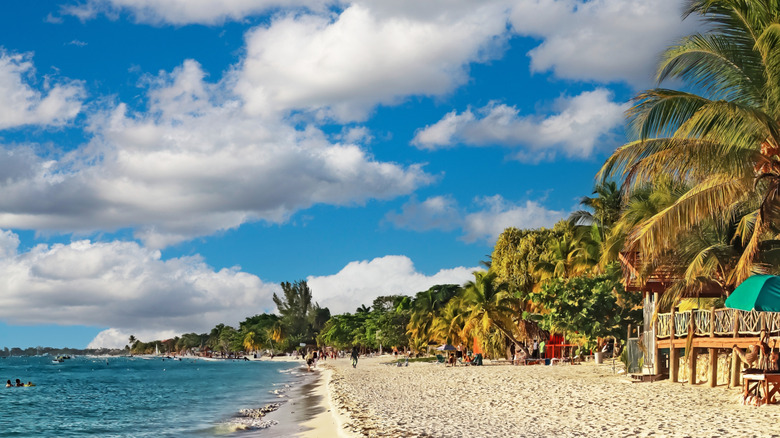 bob sapp recommends Nudist Beach Dominican Republic