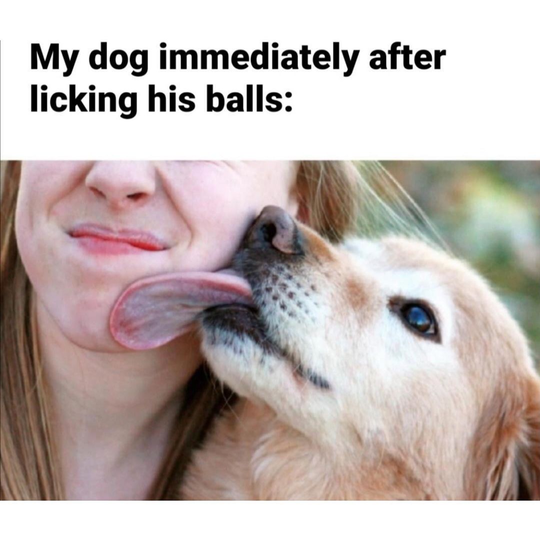 licking his balls - vr porn 4k sophie dee bj