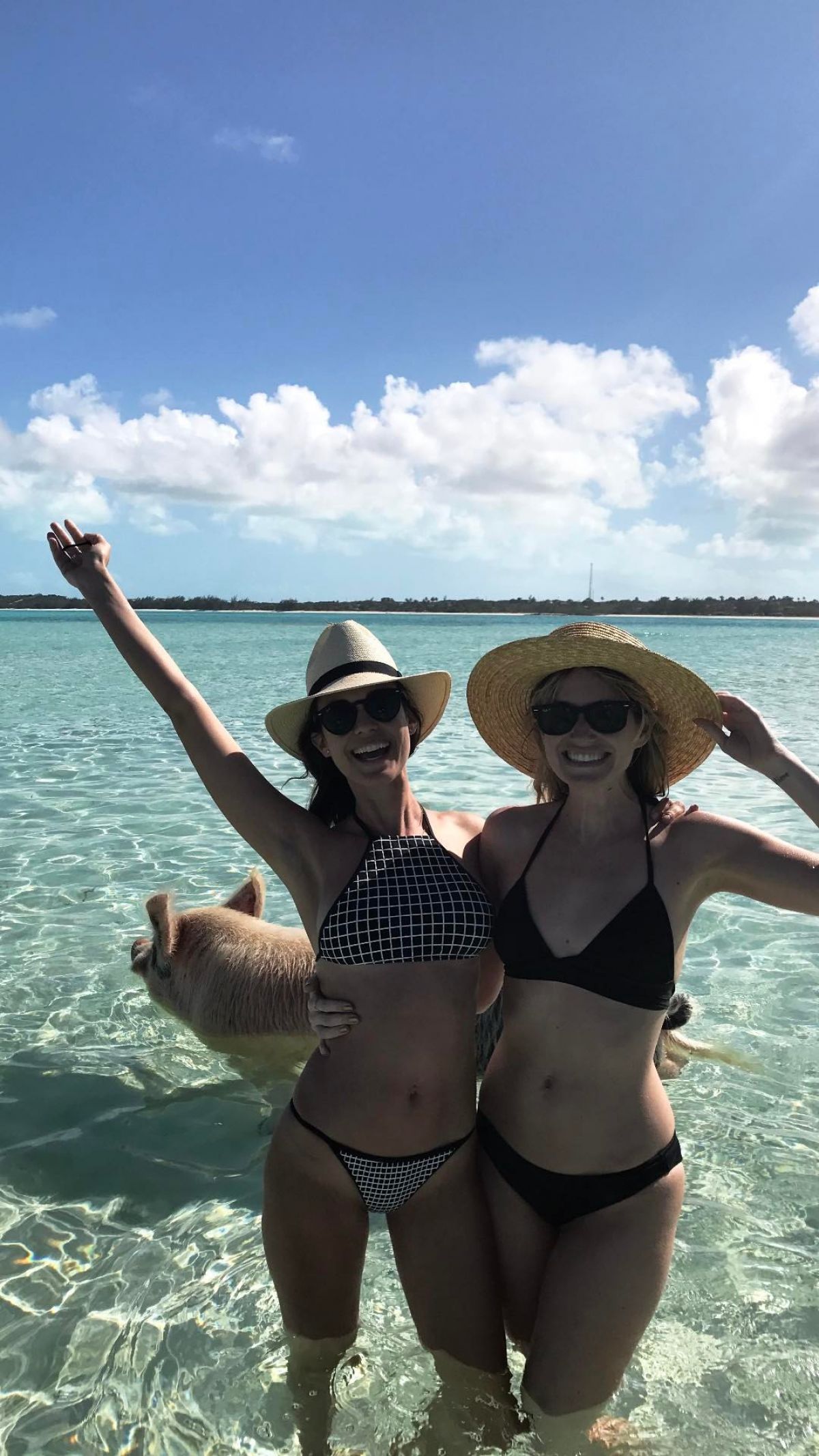clarissa swan recommends odette annable bikini astrid guo add odette annable bikini photo