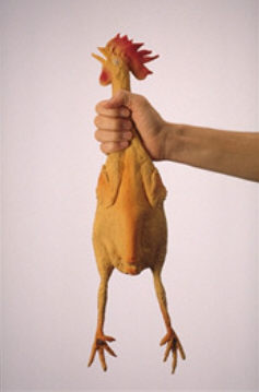 anthony tango recommends Choke My Chicken