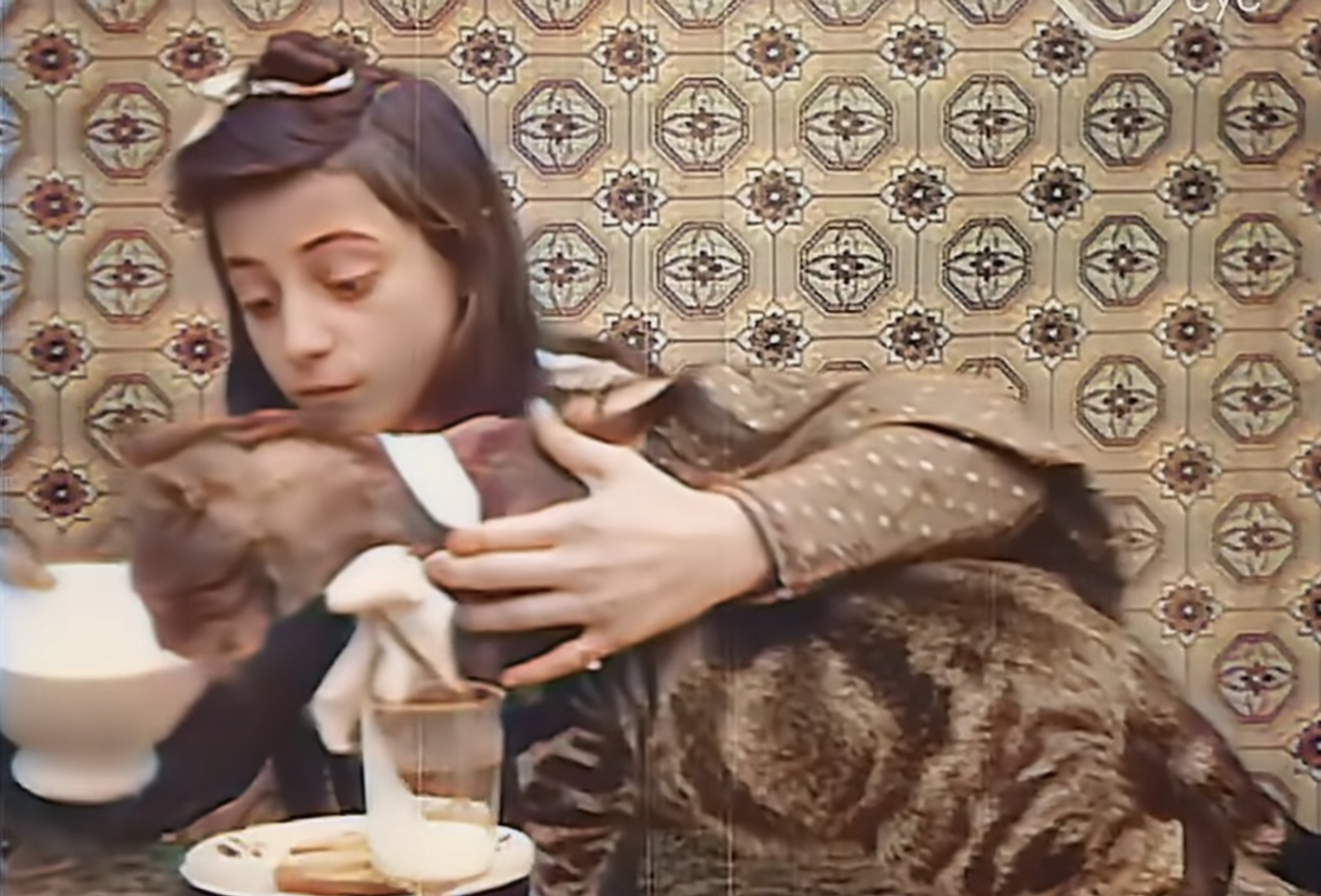 andrew spruell recommends Forced To Eat Pussy