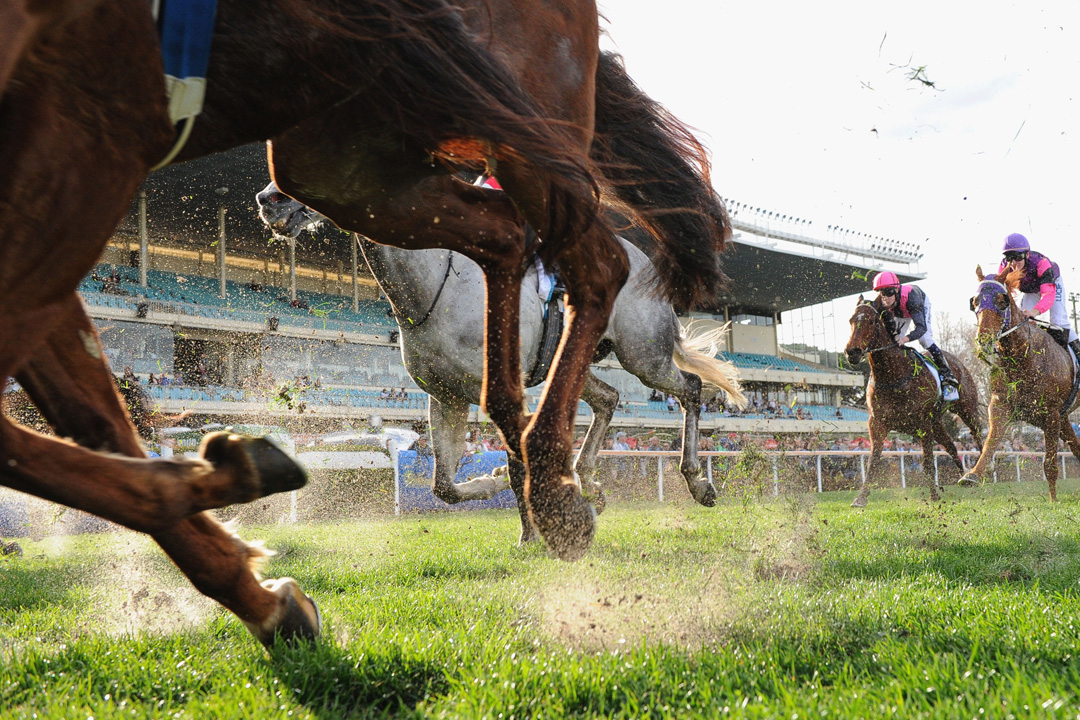 anthony guastella recommends Tommy King Riding