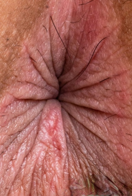 angelique danielle recommends anal close ups adrian myrick add anal close ups photo