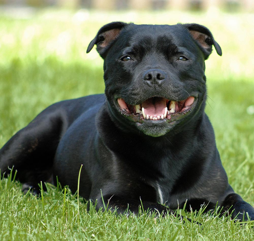deborah powers hall recommends staffy moreno darian walker add staffy moreno photo