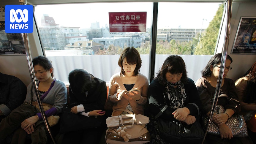 borja diaz recommends japan groping train carolyn whitehorn add japan groping train photo