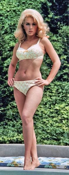 aamir sayeed like stella stevens lingerie photo christopher geil recommends stella stevens lingerie pic