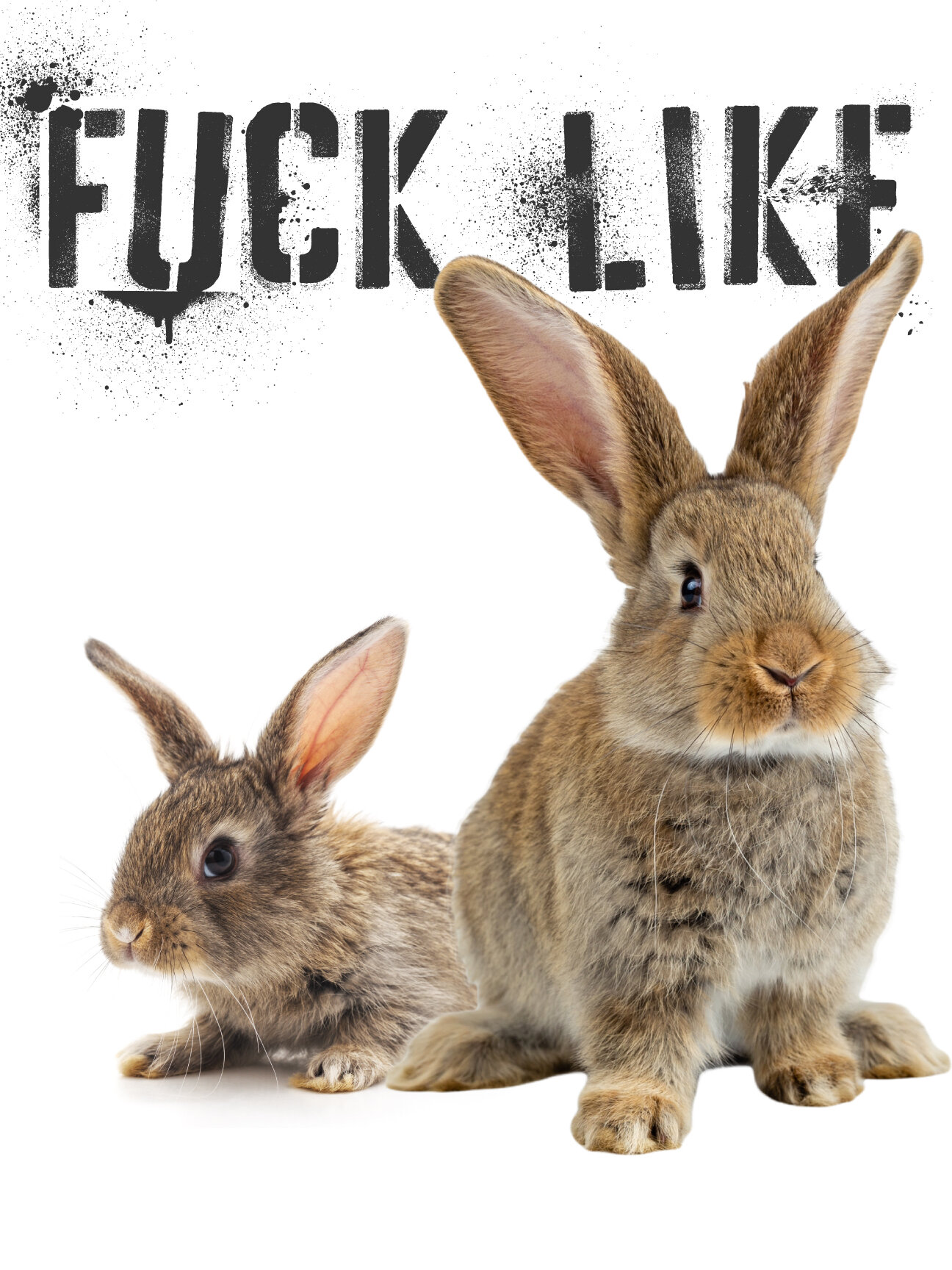Best of Fucking like rabbits