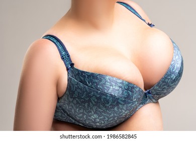 Best of mlif porn tube amy blackmer share huge natural breast pictures photos