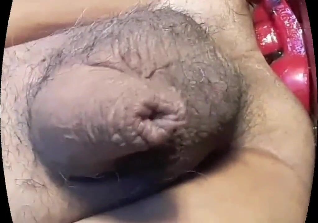 cyril johnston recommends k9 dildo april dales add k9 dildo photo