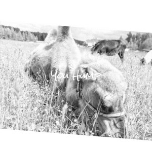 apolonio gutierrez like hump compilation photo clarissa gibney recommends hump compilation pic