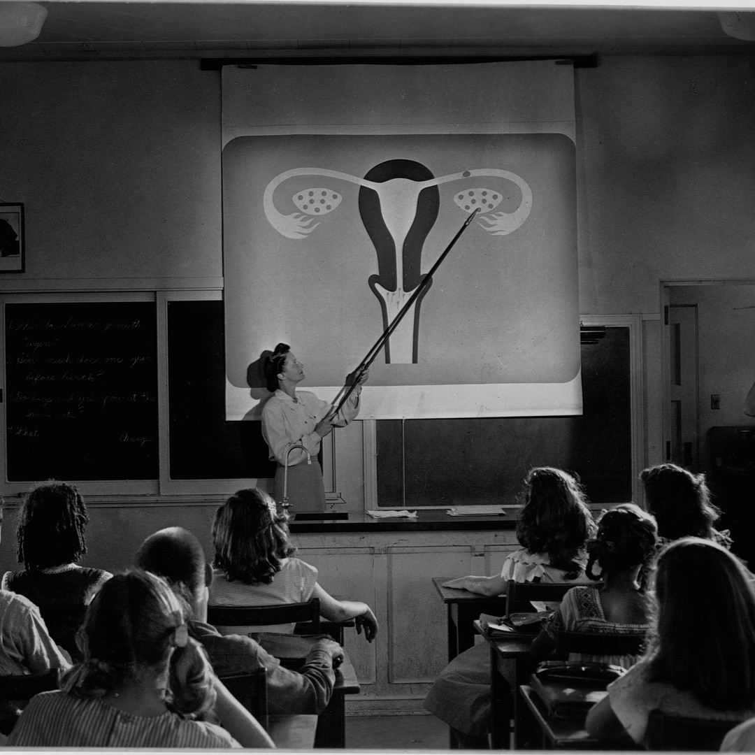 cassandra serra recommends nude class porn pic