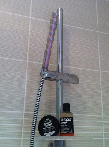 chad albertson like shower dildo photo betty miranda recommends shower dildo pic