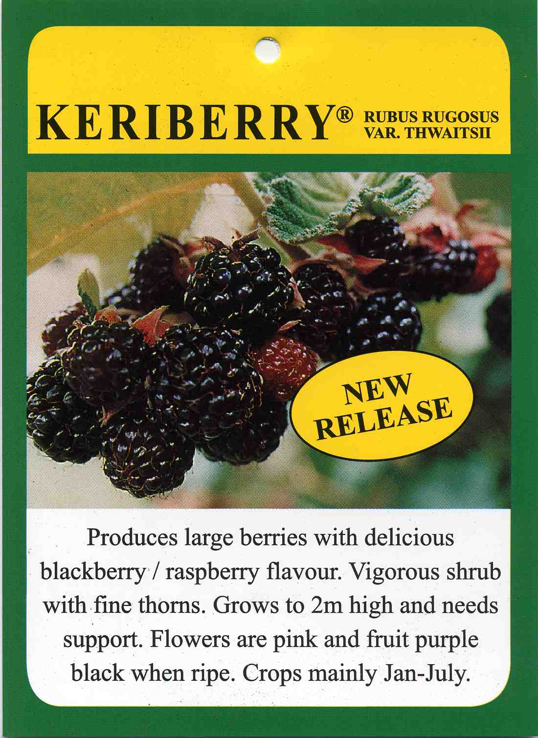 keri berry animales xxx keri berry