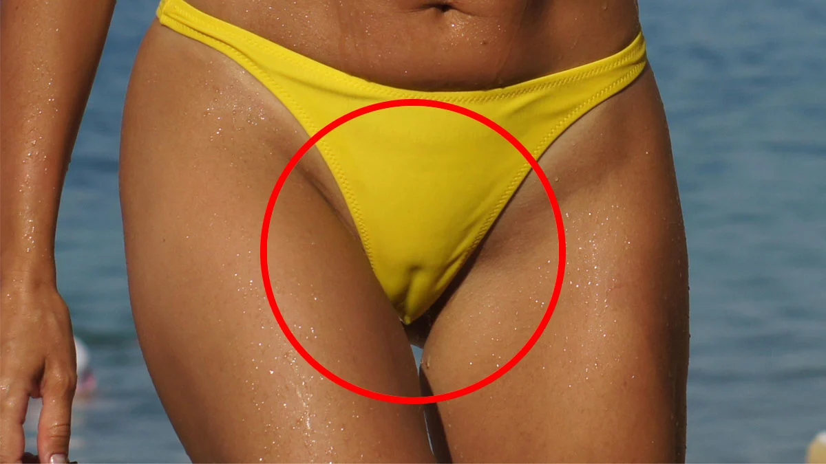 audrey whyte recommends big wet camel toes pic