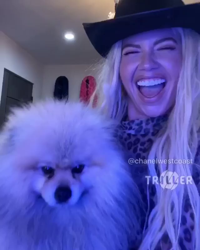 Chanel West Coast Twerking hosting demo bryan rubi recommends Chanel West Coast Twerking