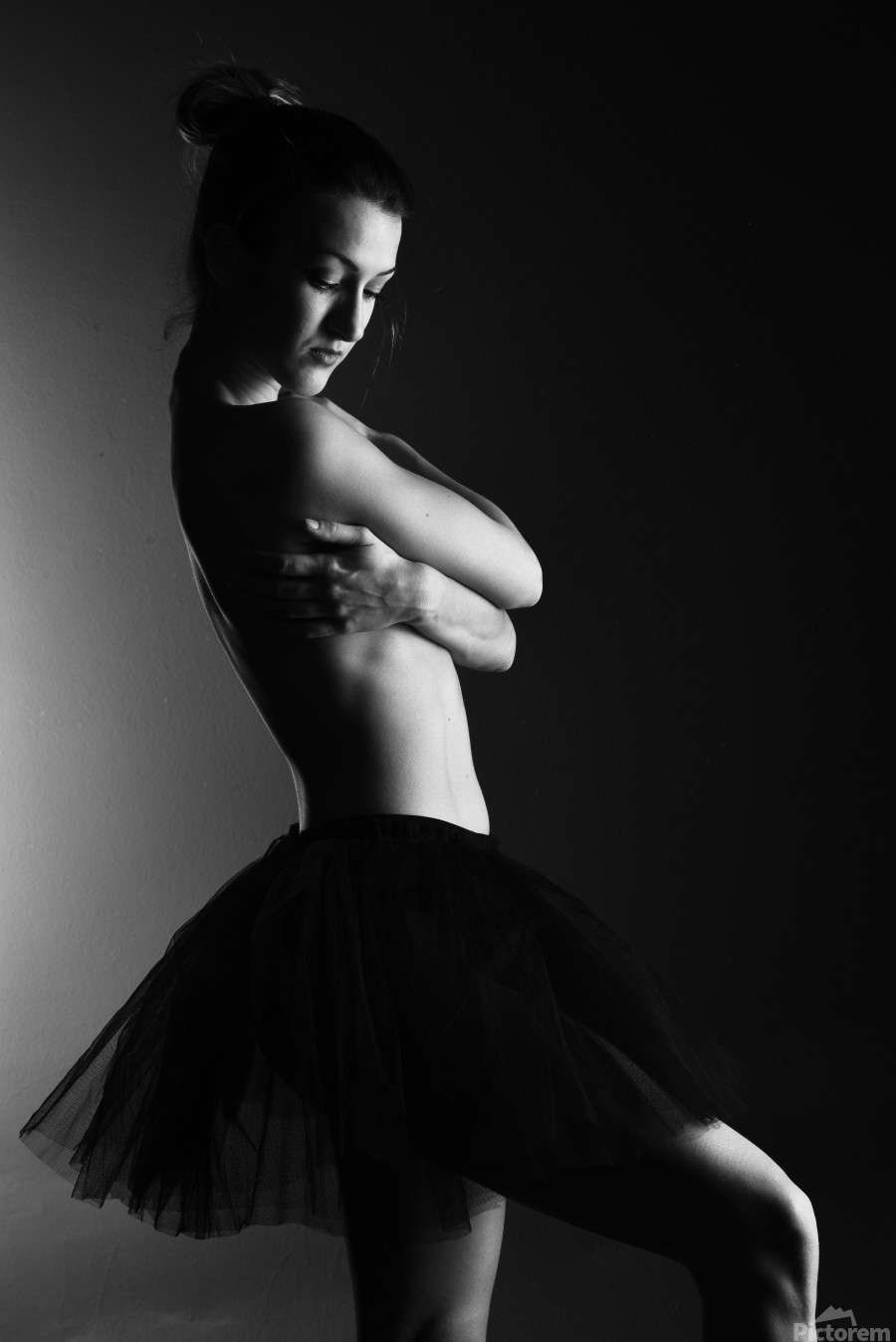 anissa brooks recommends Nude Ballet Dancers