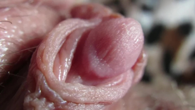 closeup of clit - leanne crow fat adelaide kane sexy