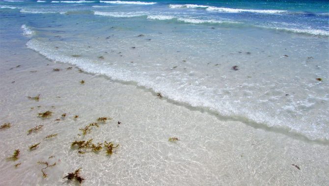 ahmed arefin recommends Dominican Republic Nude Beach