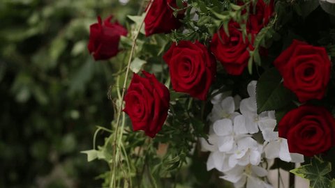 rose party porn chat gratuitas rose party porn