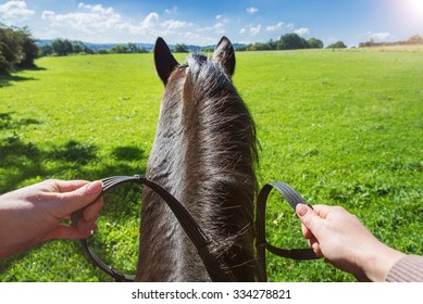 caitlin hildebrandt like pov riding you photo angelo tenorio recommends pov riding you pic