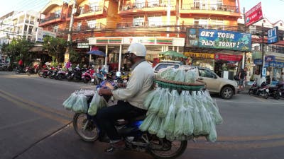 ben els like asian riding pov photo donna zhou recommends asian riding pov pic