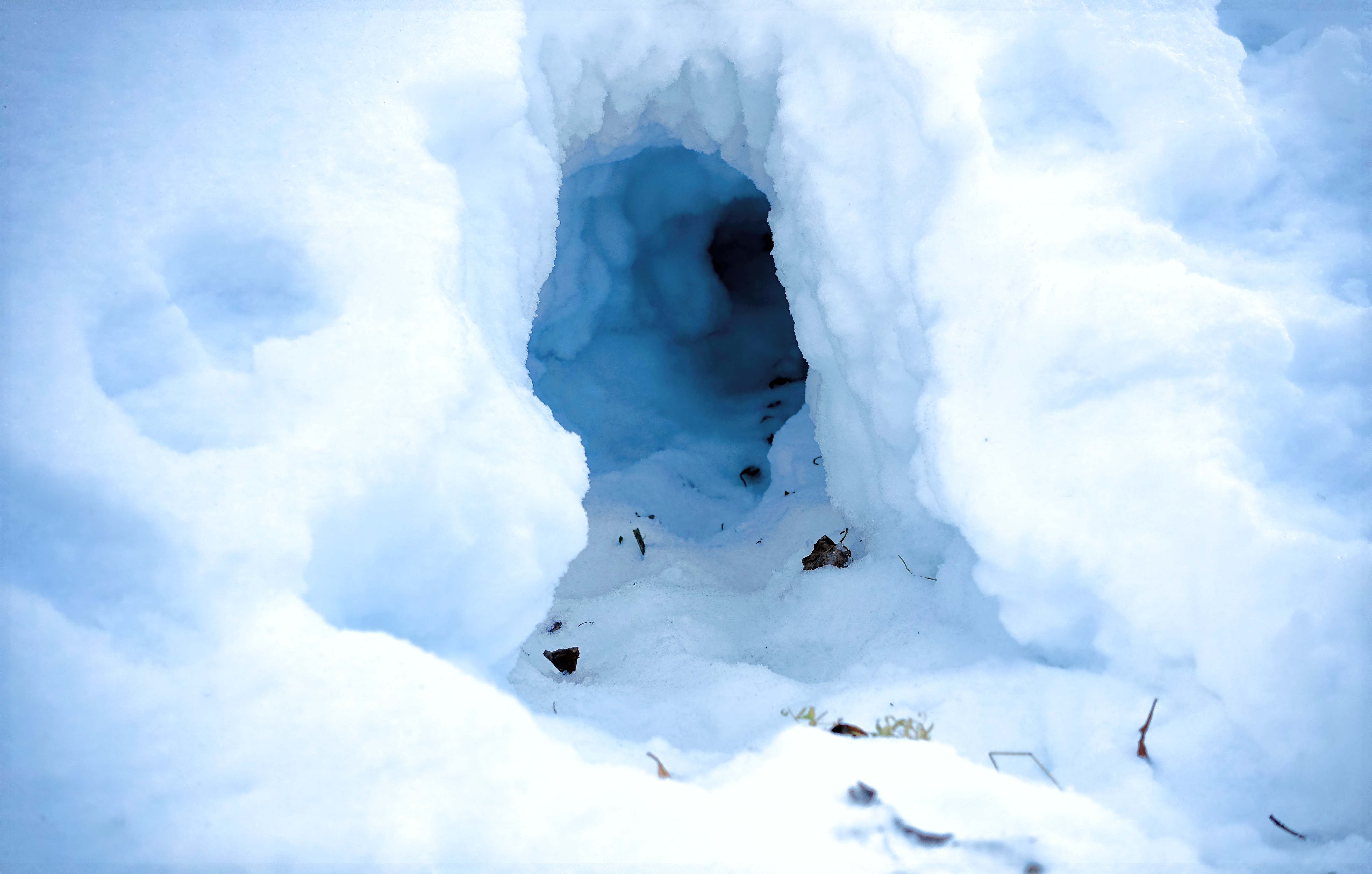 andrew keim recommends Snow So Icy