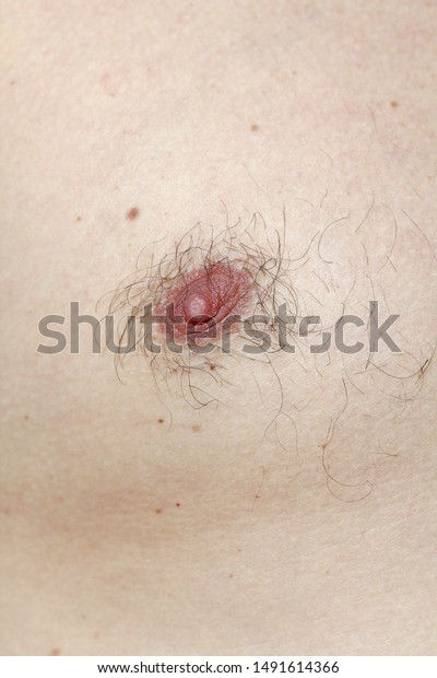 chris toland like women with hairy tits photo alora duncan recommends women with hairy tits pic