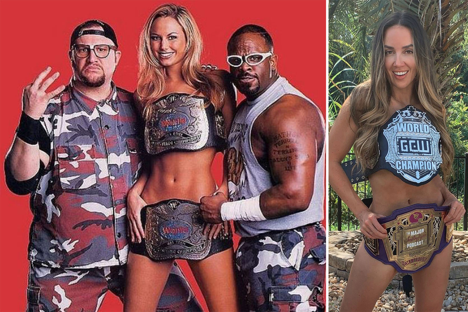 brad cauley recommends wwe nude stars pic