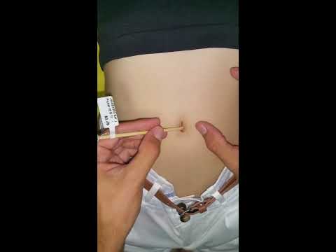 ayman kamel recommends Asian Navel Lick