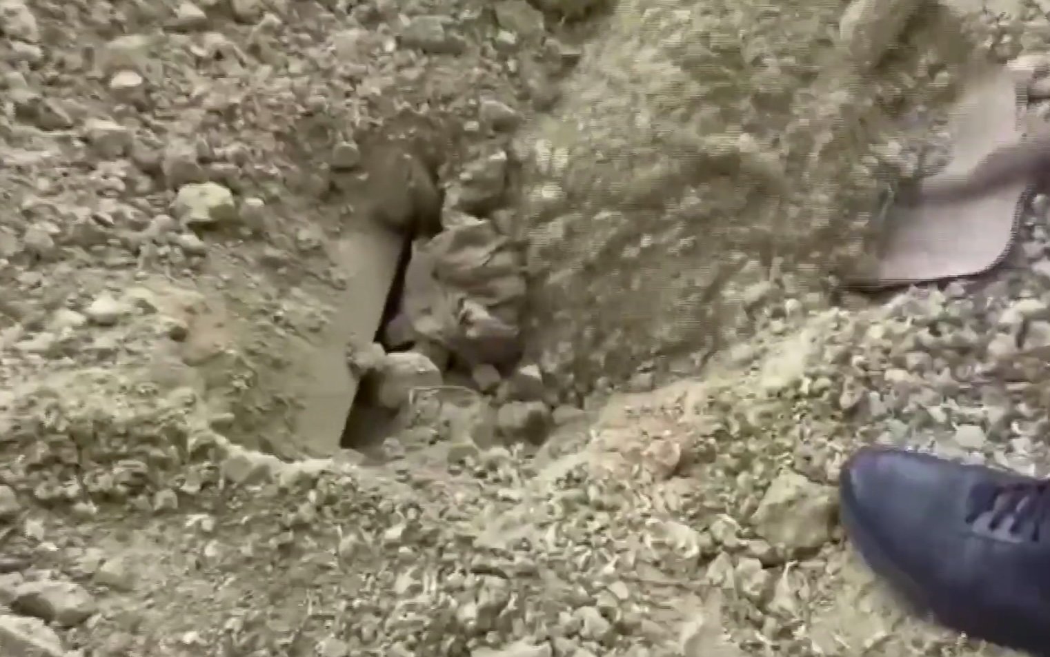 carl pierce like buried alive porn photo anne marie darroch recommends buried alive porn pic