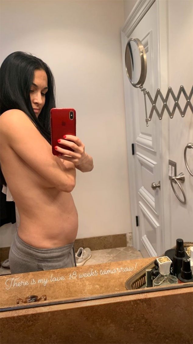 arlene veloz recommends nude pictures of nikki bella pic