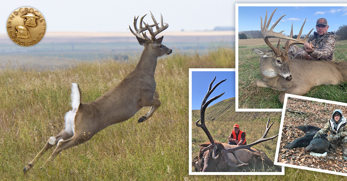 connie van dyk recommends Kentucky Bbw