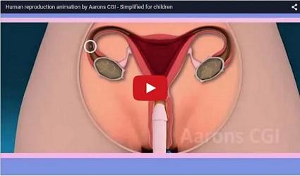 bryan strong recommends sexual intercourse animation pic