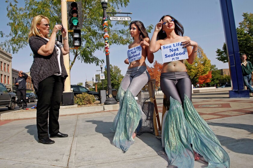 Best of Topless mermaids