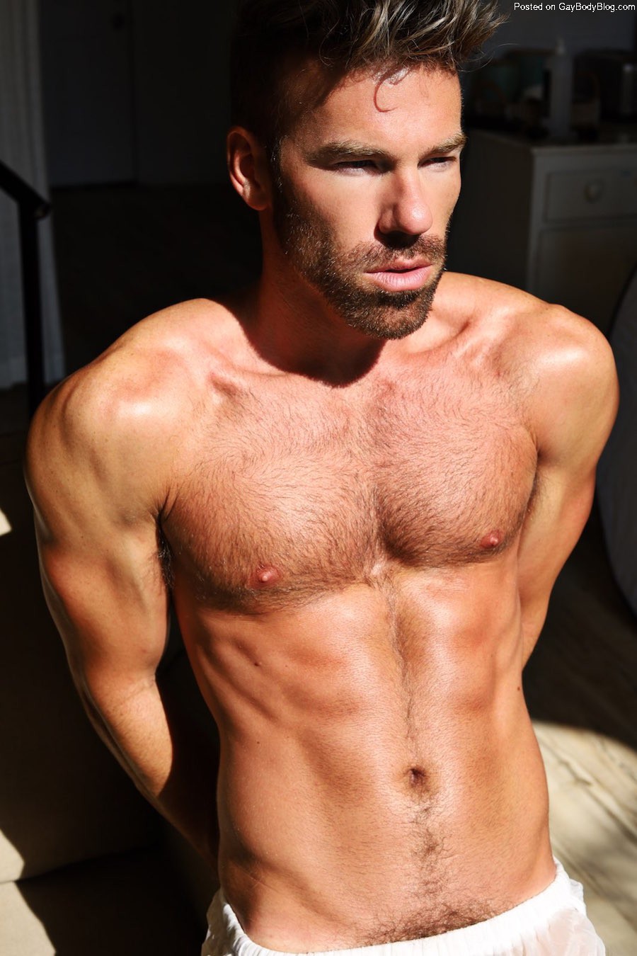 alex meredith hardy recommends Hairy Male Models Nude