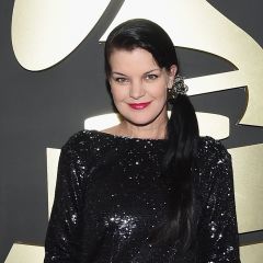 david connole recommends Pauley Perrette Naked