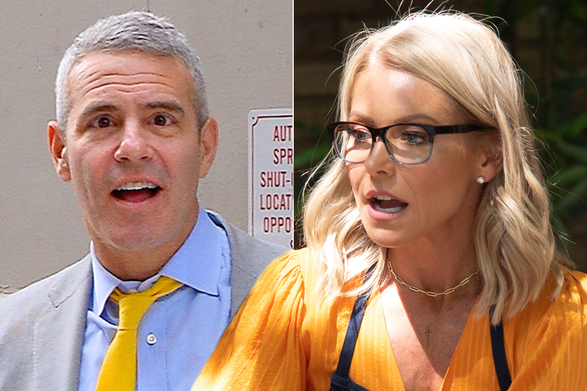 brandon ellenburg recommends kelly ripa nude photos ditte holmgaard add kelly ripa nude photos photo