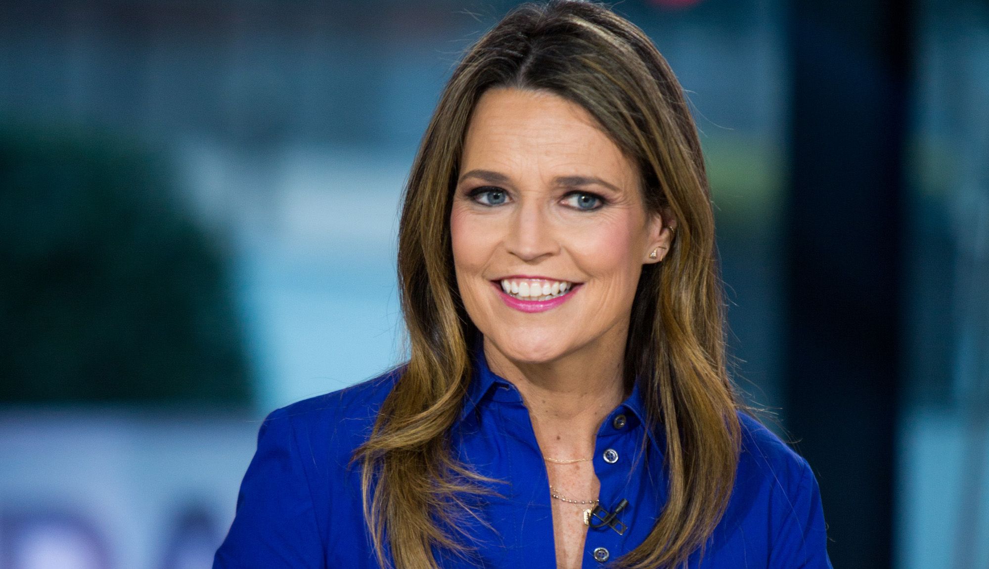 damia smith recommends savannah guthrie sexy pic