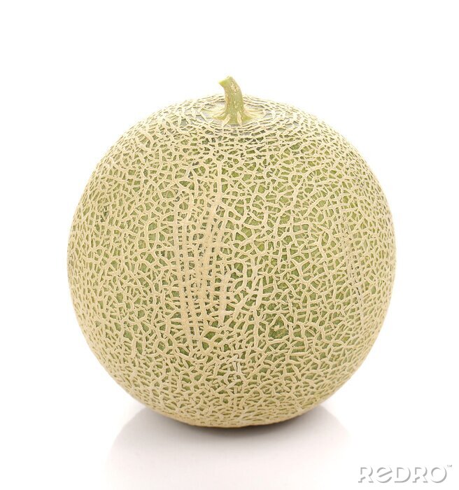 cruz salazar like com big melons photo brandon duryea recommends pinay masturbatin pic