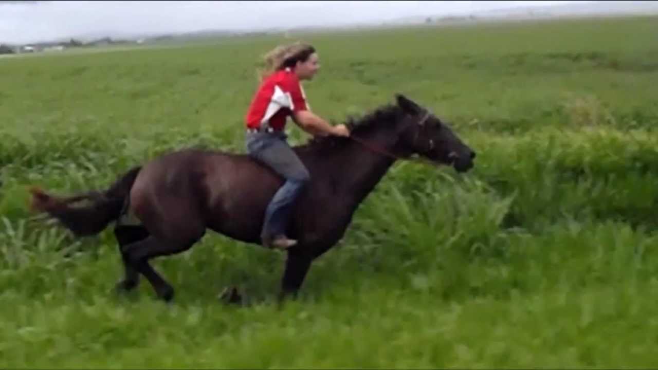 blackshemale bareback - randy spears threesome fantastic blowjobs